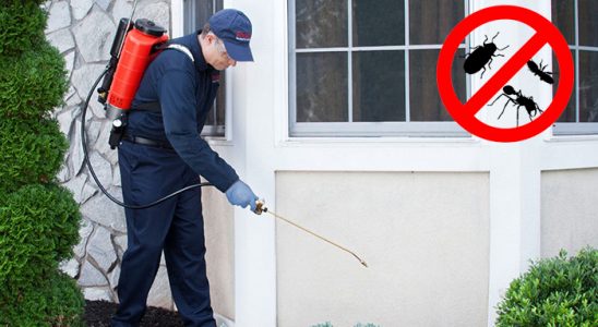 Bağcılar Sivrisinek İlaçlama böcek ilaçlama ve haşere kontrolü — ilaclama-tr.com